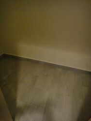 Cairnhill Crest (D9), Condominium #482280591